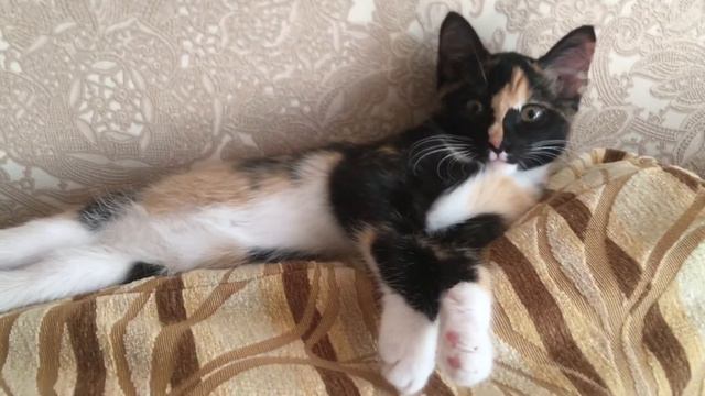 Время сна смотреть онлайн