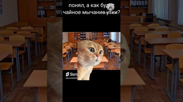 учитель попал, звук - kikkadim смотреть онлайн