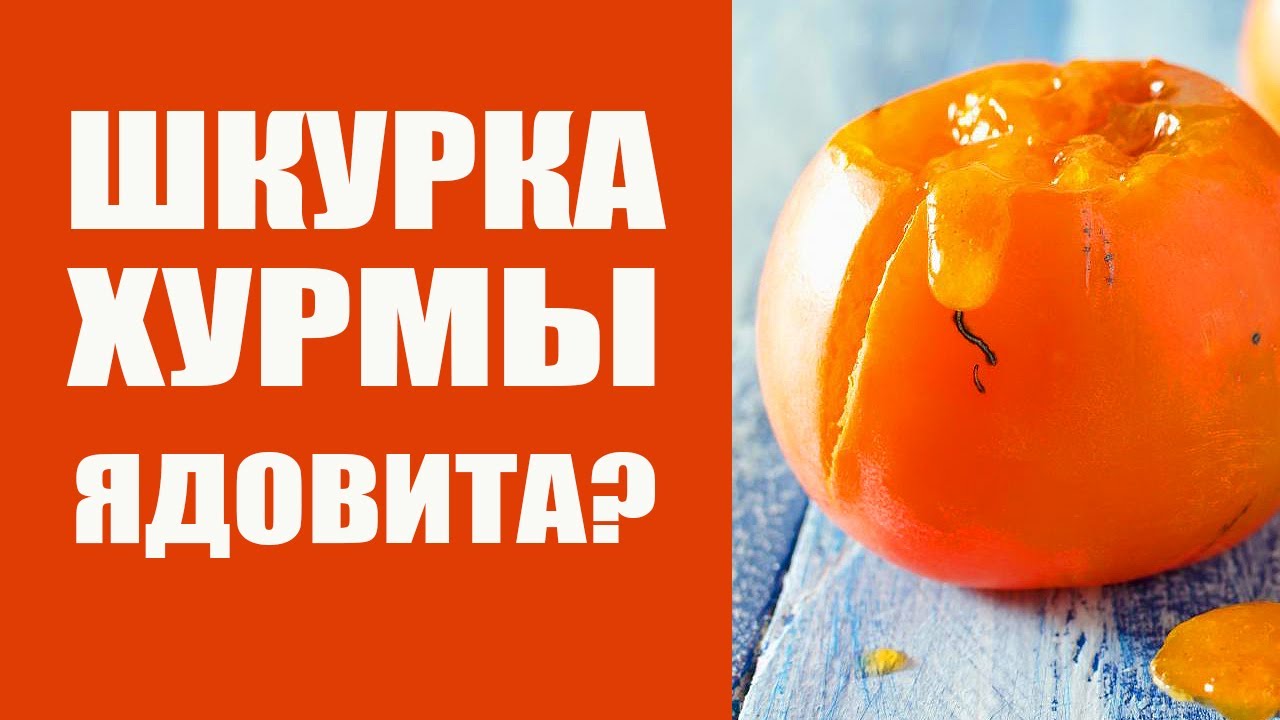Хурма Польза и Вред. Можно ли есть шкурку смотреть онлайн