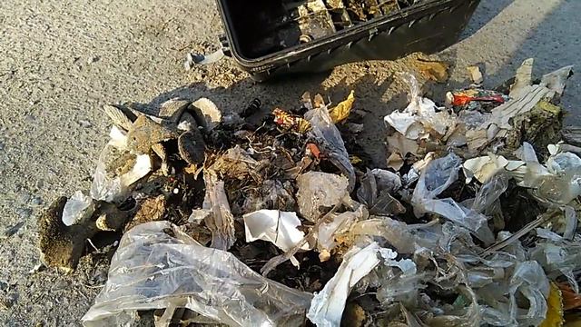 Мышка под капотом смотреть онлайн