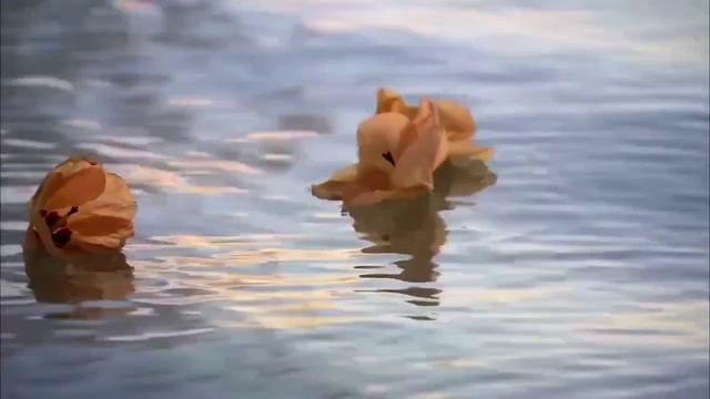 Путешествуй! Путешествие в рай ч.6 смотреть онлайн