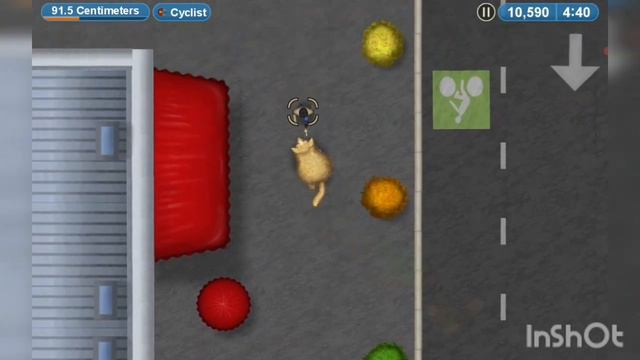 кот съел Париж😱 (tasty planet forever) смотреть онлайн