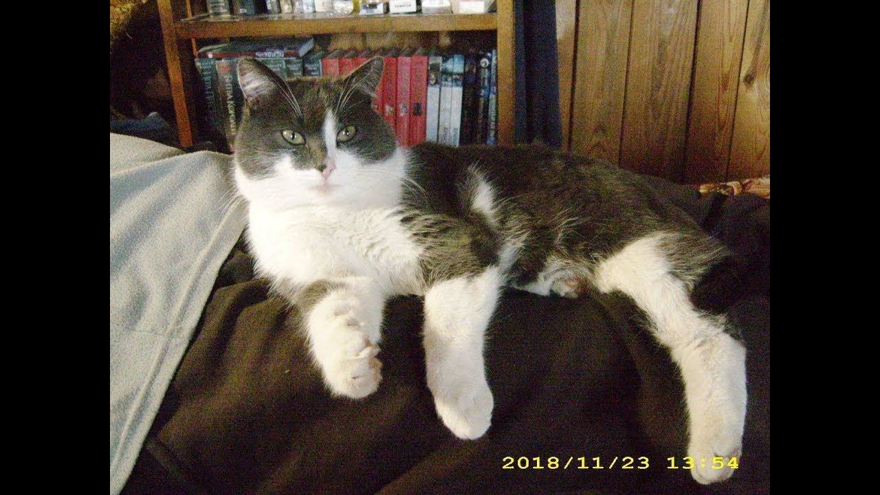 Прощай, друг! смотреть онлайн