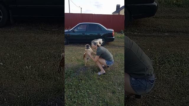 Lv_0_20231009121542.mp4