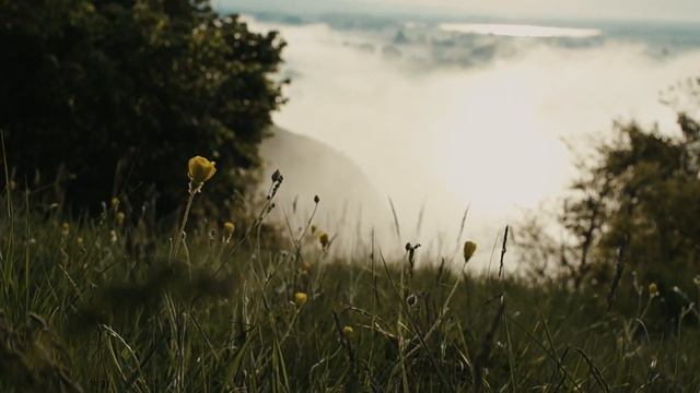 Очень красивая и расслабляющая музыка. Трек - наедине с мыслями.🤩 смотреть онлайн