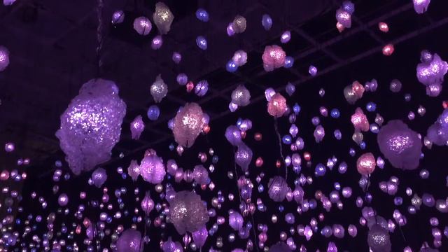 Pipilotti Rist: Pixel Forest and Worry Will Vanish | Museum of Fine Arts Houston смотреть онлайн