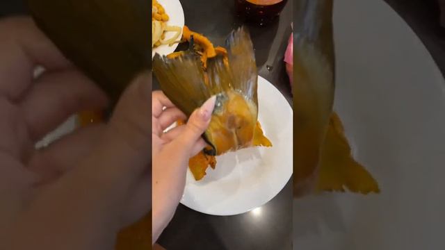 АЛКАШИ домашние ###тикток приколы# tiktok смотреть онлайн