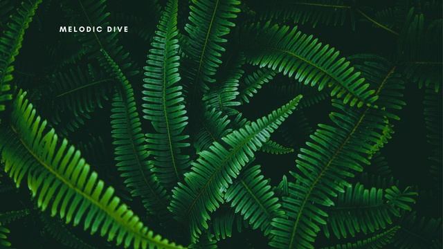 Melodic House mix. Melodic Dive | Vol. 22 || [ Feathers & Bones ] смотреть онлайн