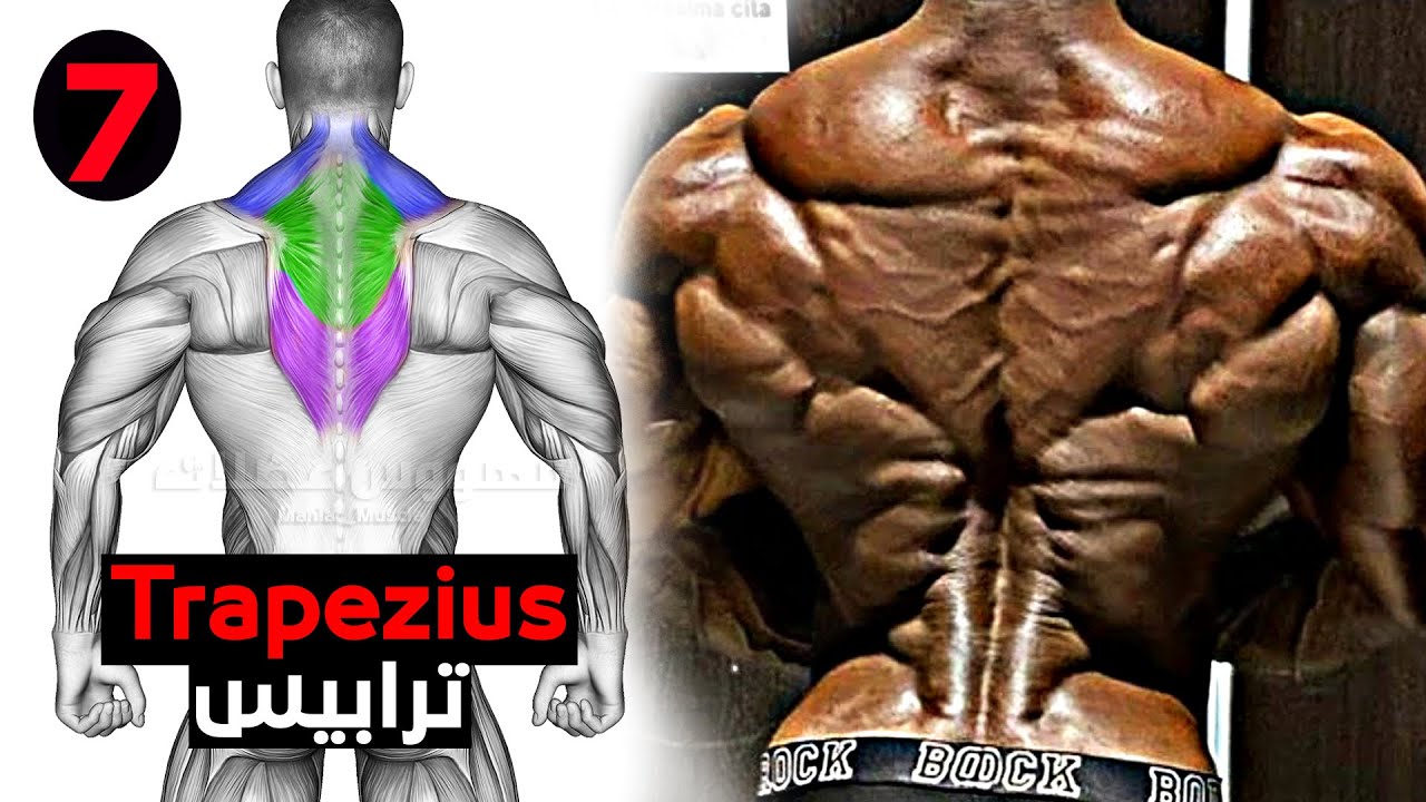 Как сделать трапецию быстрой (7 эффективных упражнений) смотреть онлайн