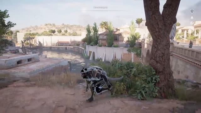 Assassin 's Creed Origins смотрю качество стрима