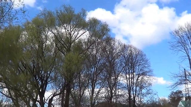 Забор воды из Ставка в сезоне ..17года смотреть онлайн