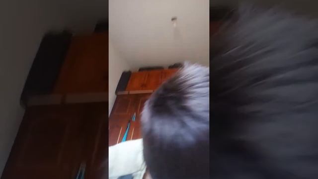 Final Super Bear Adventure E Minecraft Survival!