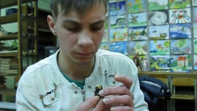 Поедание тараканов смотреть онлайн