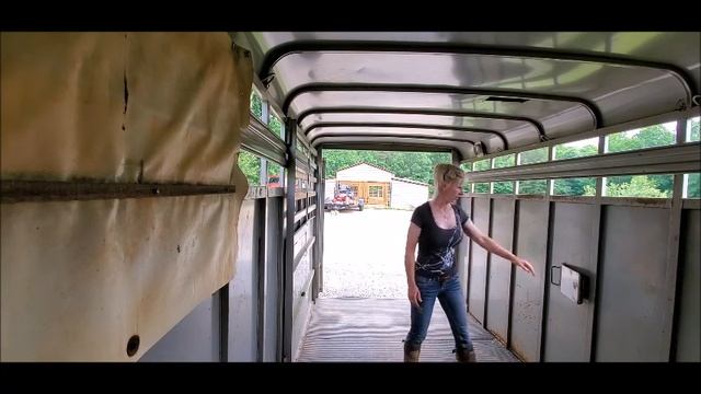 Loading Draft Horses Into a strange Trailer - How do they react? смотреть онлайн