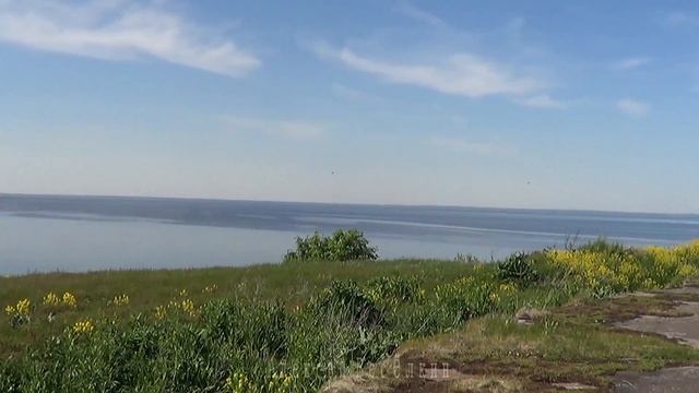 Экскурсия в Западный Котлин. смотреть онлайн