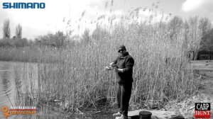 КарпФишинг[ОБЗОР] УДИЛИЩА КАРПОВЫЕ SHIMANO