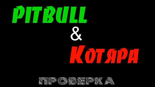 CSS v34 Администратор PITBULL 5+ /Проверка) смотреть онлайн