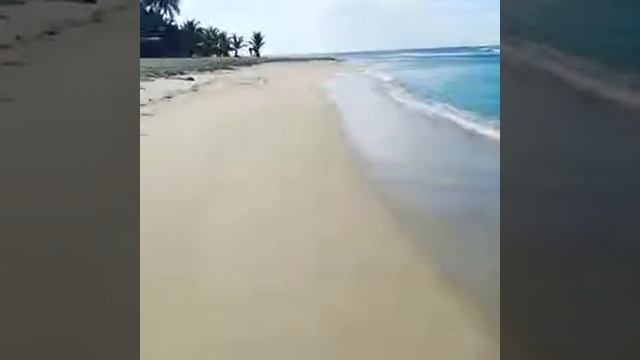 Доминикан Хуан Долио смотреть онлайн