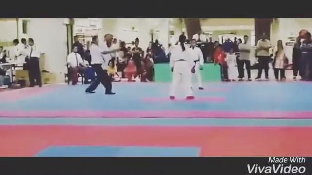 FINAL Karate kumite female -48 kg (hilary) смотреть онлайн