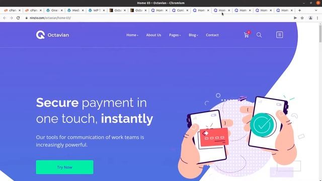 23+ Creative Homepages | Best Multipurpose Business Website Theme | Octavian WordPress Theme смотреть онлайн