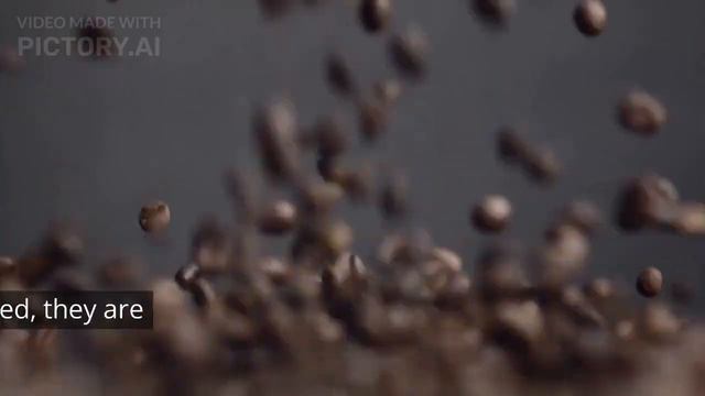 Arabica Coffee Beans смотреть онлайн