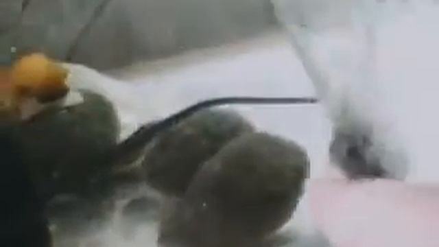 Мой новый аквариум и фильтр из гранитной крошки смотреть онлайн