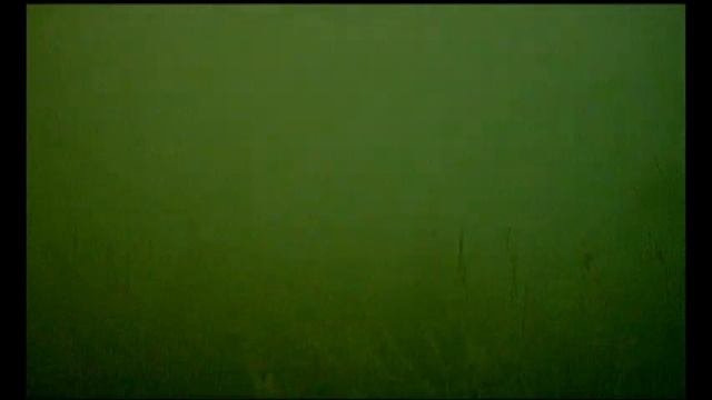 Поиски окуня под водой (озеро Б. Кременкуль, июнь 2020). смотреть онлайн