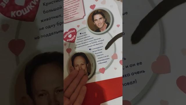 Cat Collection  журналы обзор ?