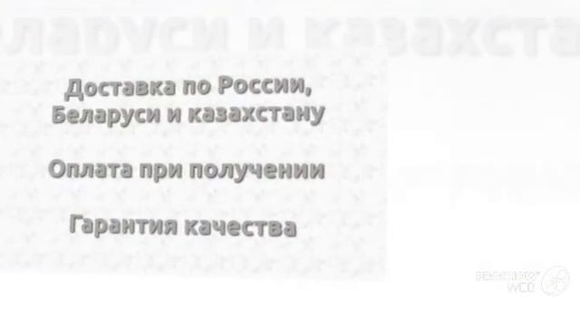 Женская футболка Тазы не валят SUBARU IMPREZA (Купить в МирМаек.РФ) смотреть онлайн