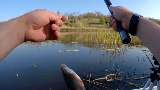 РЫБАЛКА на ПОПЛАВОК в КАМЫШЕ смотреть онлайн