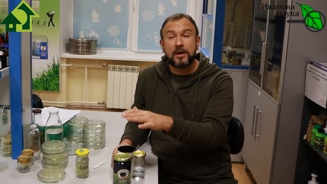 НАТУРАЛЬНЫЕ или КРАШЕНЫЕ? Выбираем оливки и маслины по вкусу, цвету и пользе. смотреть онлайн