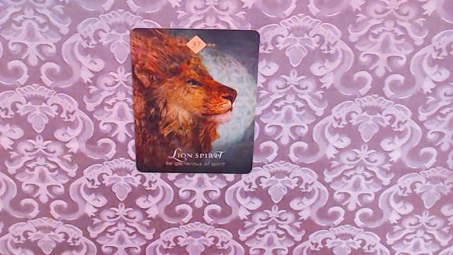 TODAYS ANIMAL SPIRIT ORACLE CARD FOR THE 22-6-2022- KNOW YOU ARE STRONG & POWERFUL смотреть онлайн