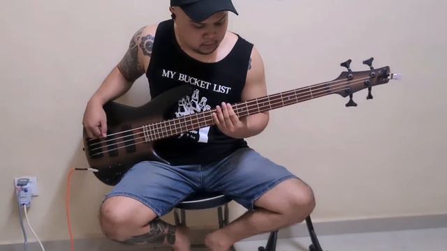 Maddthelin-Ascension (Bass Cover) смотреть онлайн