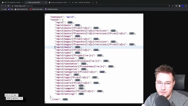 WordPress Rest API - Hilfe bei der Website смотреть онлайн