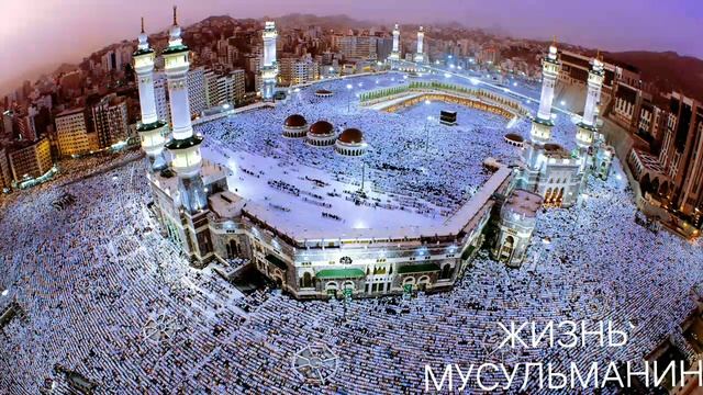 Сураи ЁСИН - Сурая ЯСИН