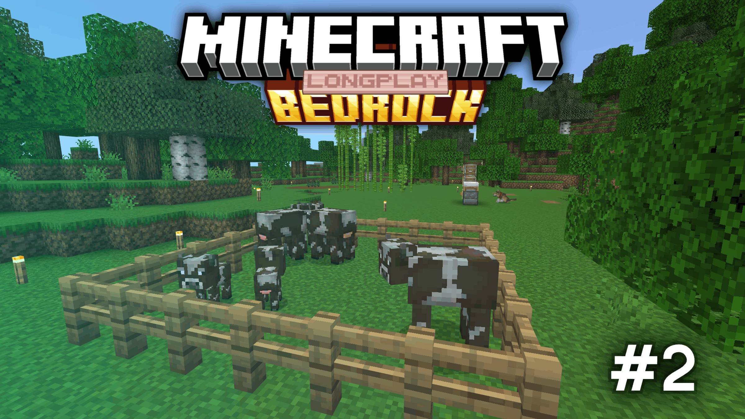 Выживание Майнкрафт Бедрок- Relaxing Longplay Bedrock (No Commentary) 1.21 (#2)