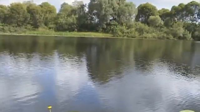 Рыба, рыбалка, рыбаки и многое другое смотреть онлайн