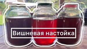 Домашняя вишневая настойка