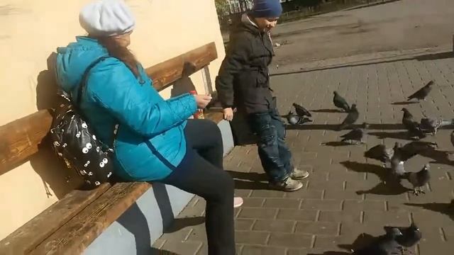 Кормления голубей с руки смотреть онлайн