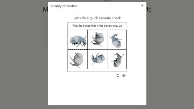 Pick The Image That is The Correct Way Up | How to Fix Pick The Image That is The correct Way Up смотреть онлайн