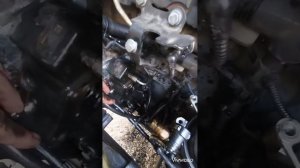 Насос топливный шестеренчатый низкого давления для грузовых автомобилей МАН ТГС/ТГА/ТГХ