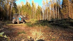 Лесозаготовка от А до Я. Моя жизнь на работе!!!  Куриный борщ- рецепт !!!