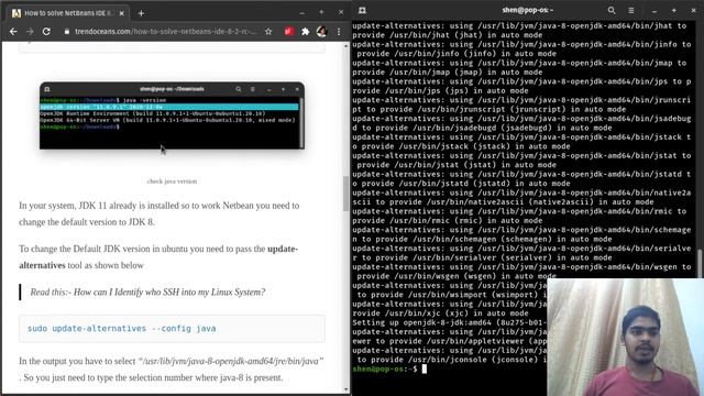 How to solve NetBeans IDE 8.2 RC No compatible JDK was found in Ubuntu? смотреть онлайн