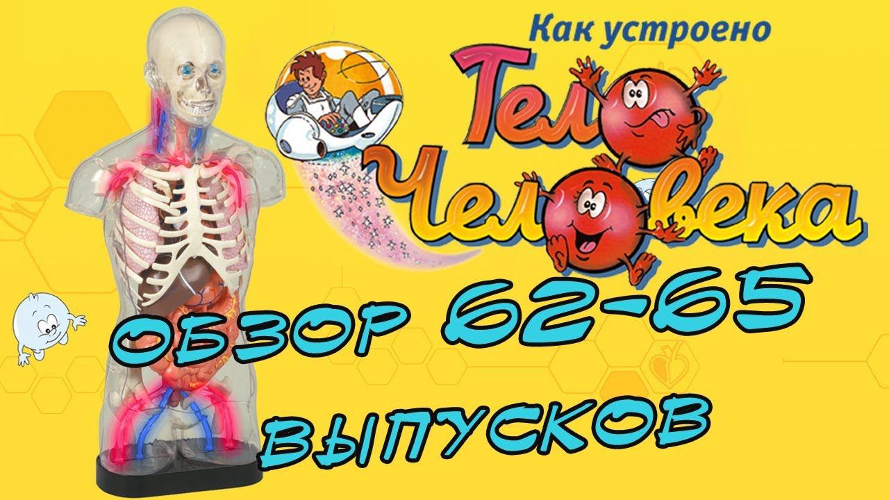 Как устроено тело человека | DeAgostini | 62-65 выпуски смотреть онлайн