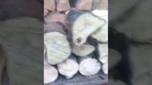 гидравлический дровокол на т 16