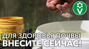 КАК ОБЕЗЗАРАЗИТЬ ПОЧВУ В ТЕПЛИЦЕ БЕЗ ХИМИИ? Поможет ТРИХОДЕРМА: легкий, чистый и надежный способ