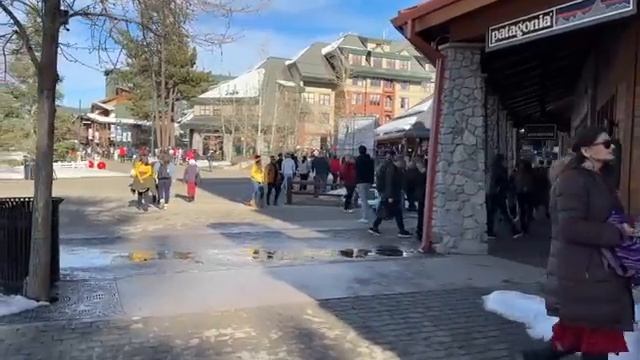 Озеро Тахо зимой / И как они не мерзнут? / Забытые подарки / Влог США смотреть онлайн