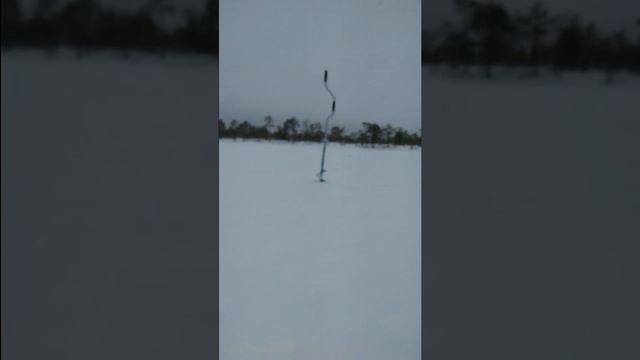 Ловля окуня. Зимняя рыбалка на озере. Бешеный клев на мормышку. смотреть онлайн