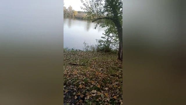 Осень в Пензе смотреть онлайн