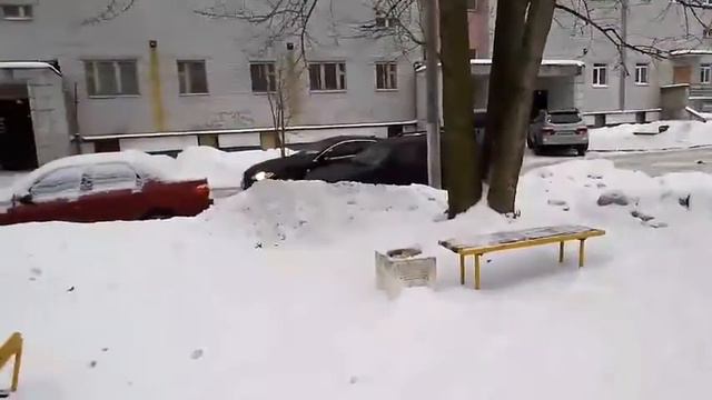 VERSUS 6ШК (Музыкант VS Изошница)